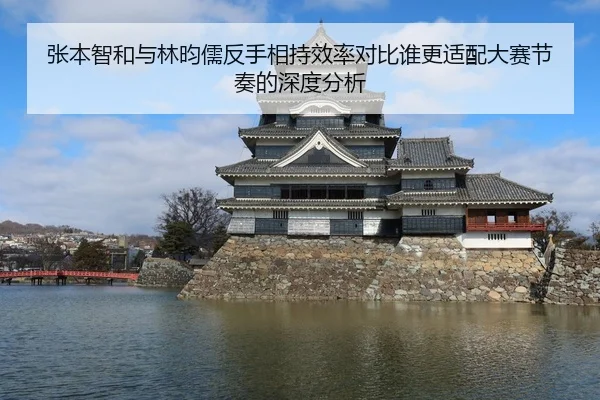 张本智和与林昀儒反手相持效率对比谁更适配大赛节奏的深度分析
