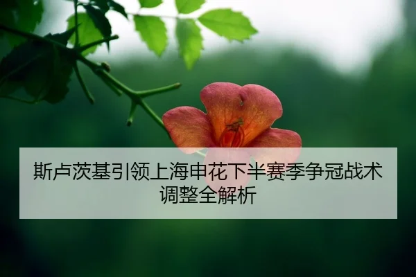 si-lu-ci-ji-yin-ling-shang-hai-shen-hua-xia-ban-sai-ji-zheng-guan-zhan-shu-tiao-zheng-quan-jie-xi-2-339.jpg