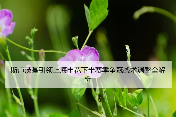 si-lu-ci-ji-yin-ling-shang-hai-shen-hua-xia-ban-sai-ji-zheng-guan-zhan-shu-tiao-zheng-quan-jie-xi-3-741.jpg