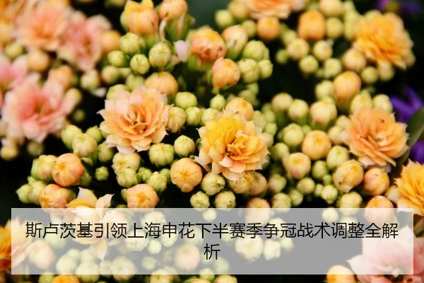 斯卢茨基引领上海申花下半赛季争冠战术调整全解析