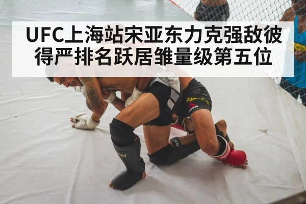 MMA fighter knockout