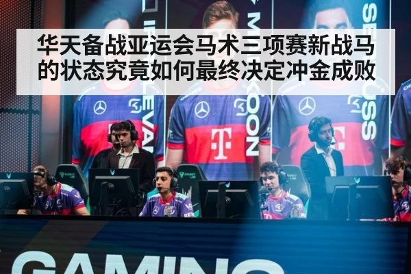 华天备战亚运会马术三项赛新战马的状态究竟如何最终决定冲金成败